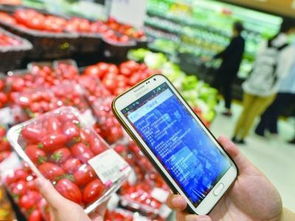 給食品銷售插上互聯(lián)網(wǎng)的翅膀 劉先玲與中國(guó)食品銷售網(wǎng)的創(chuàng)新實(shí)踐